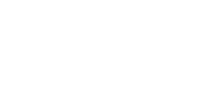 roku